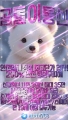 Uploaded Image